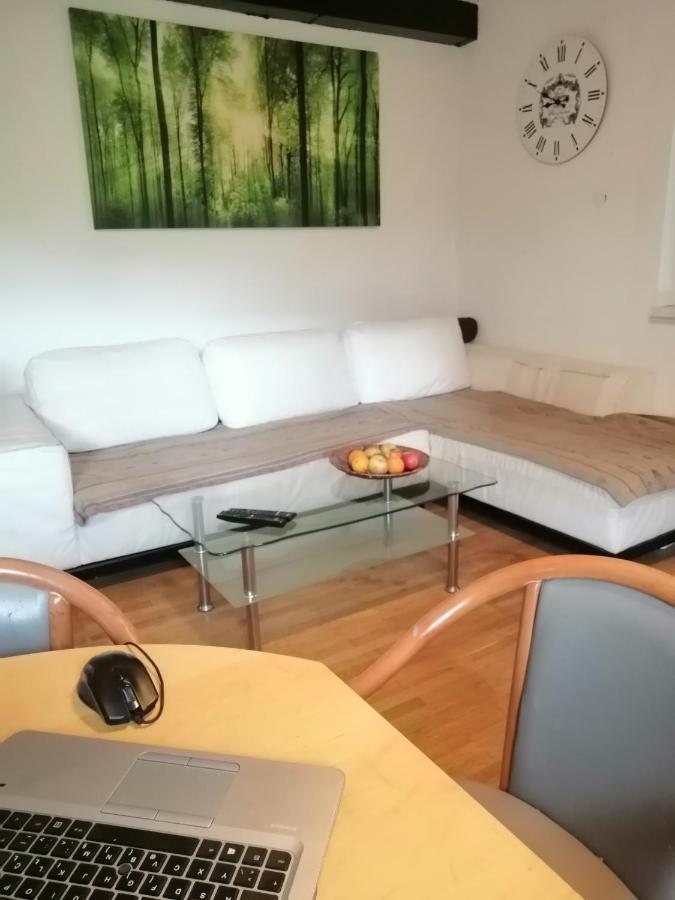 Apartma Zeus Есенице Номер фото